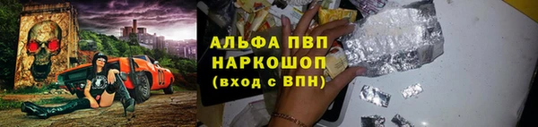 амф Бородино