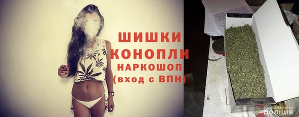 стаф Бугульма