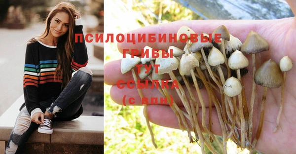 стаф Бугульма