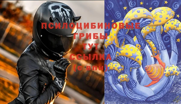 амф Бородино